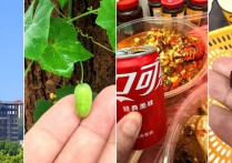 一个碉堡一个西瓜一顿小龙虾一颗樱桃